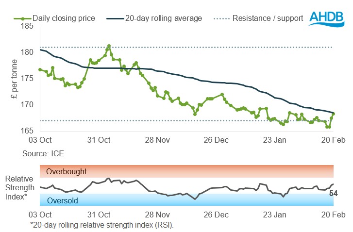 Line graph showing UK feed wheat futures prices for May-26 over the past six months.